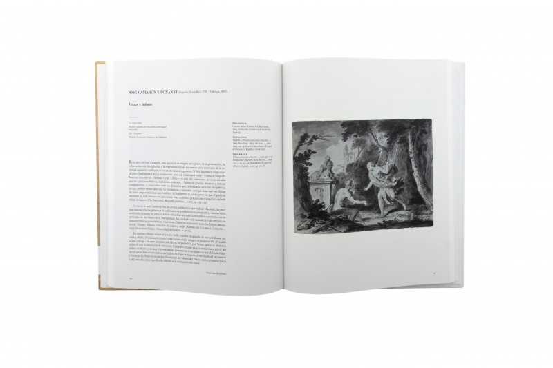 El dibujo español en le gusto privado 4 Catálogo